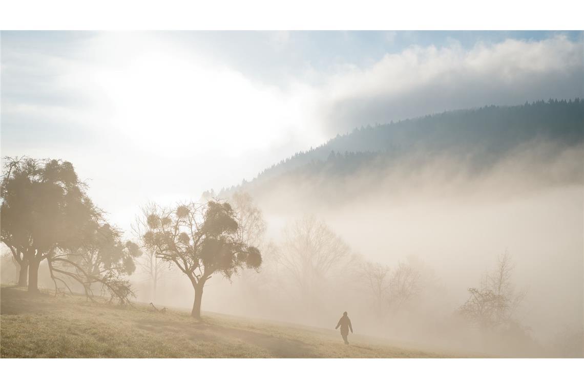 Winternebel im Neckartal