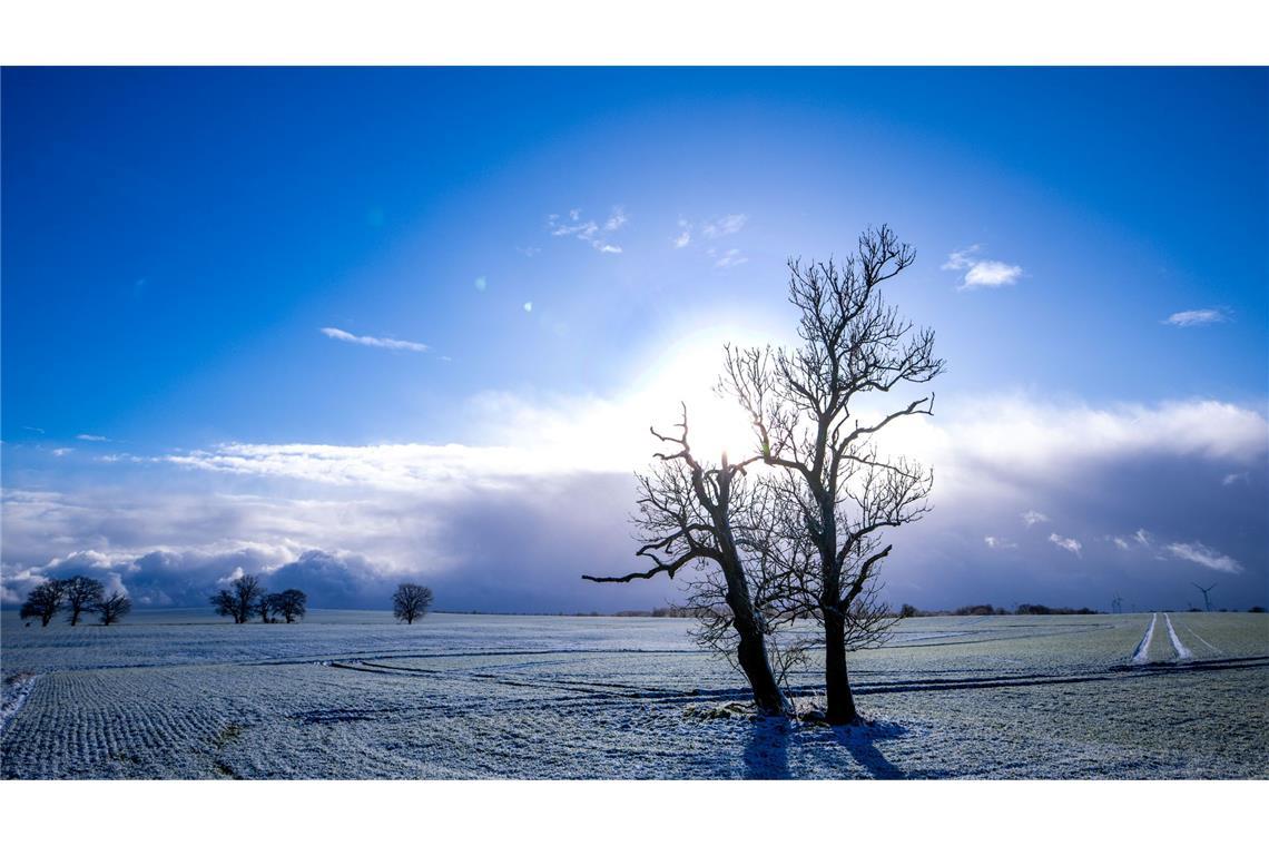 Bilder des Tages Winterwetter in Norddeutschland