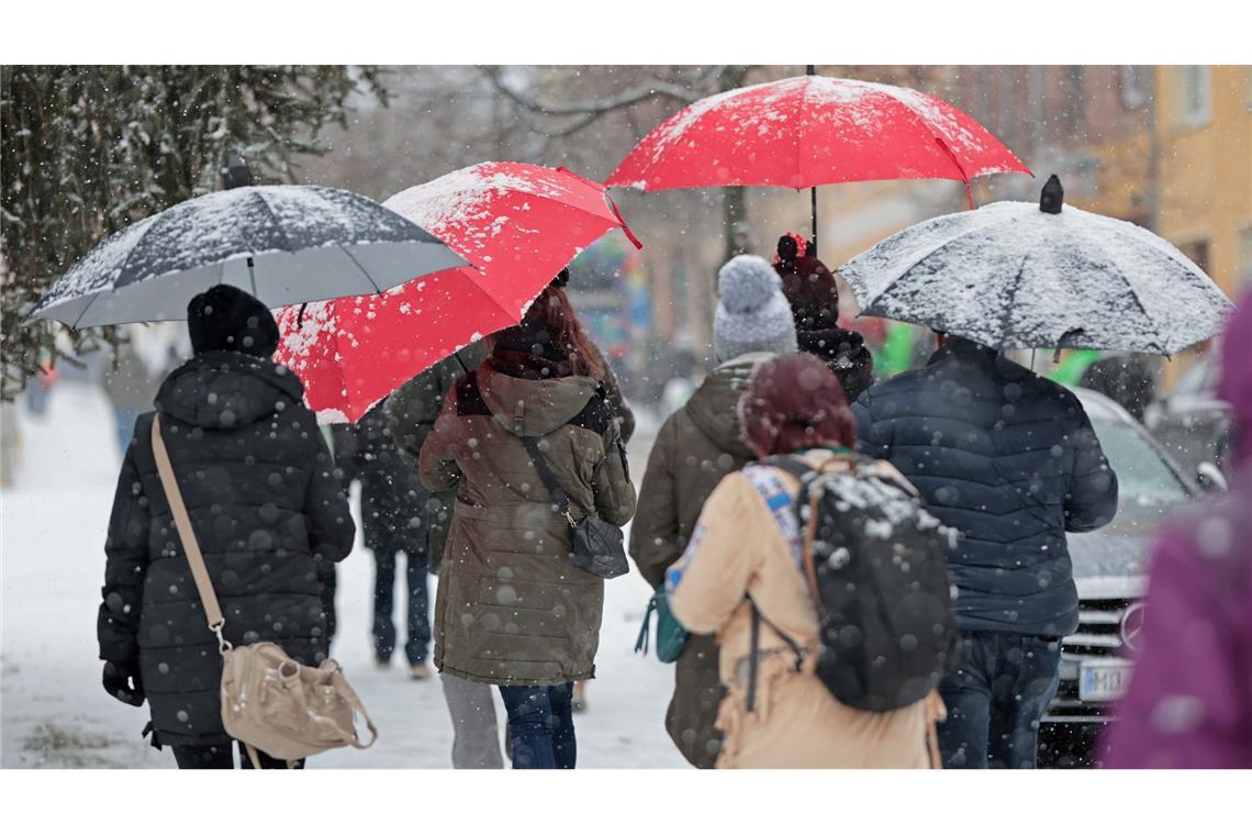 Bilder des Tages Winterwetter in Thale - Besucher gehen bei dem Faschingsumzug von dem Thalenser Carneval Club e.V. durch den Schnee.