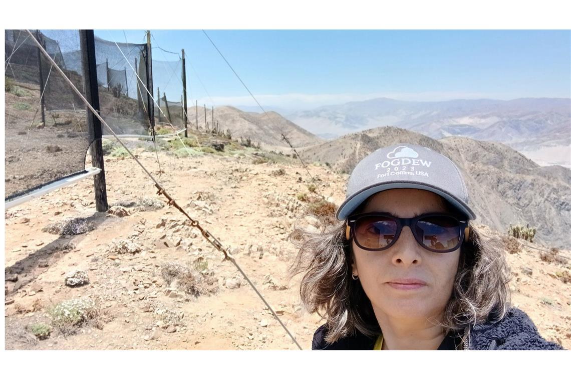 Mit Nebel gegen Wasserknappheit Wissenschaftlerin Virginia Carter Gamberini steht vor Nebelkollektoren, mit denen in der trockenen Atacama-Wüste in Chile Wasser gewonnen werden kann.