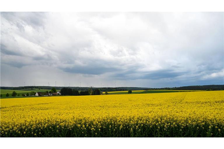 Wolken über einem Rapsfeld. (Symbolfoto)