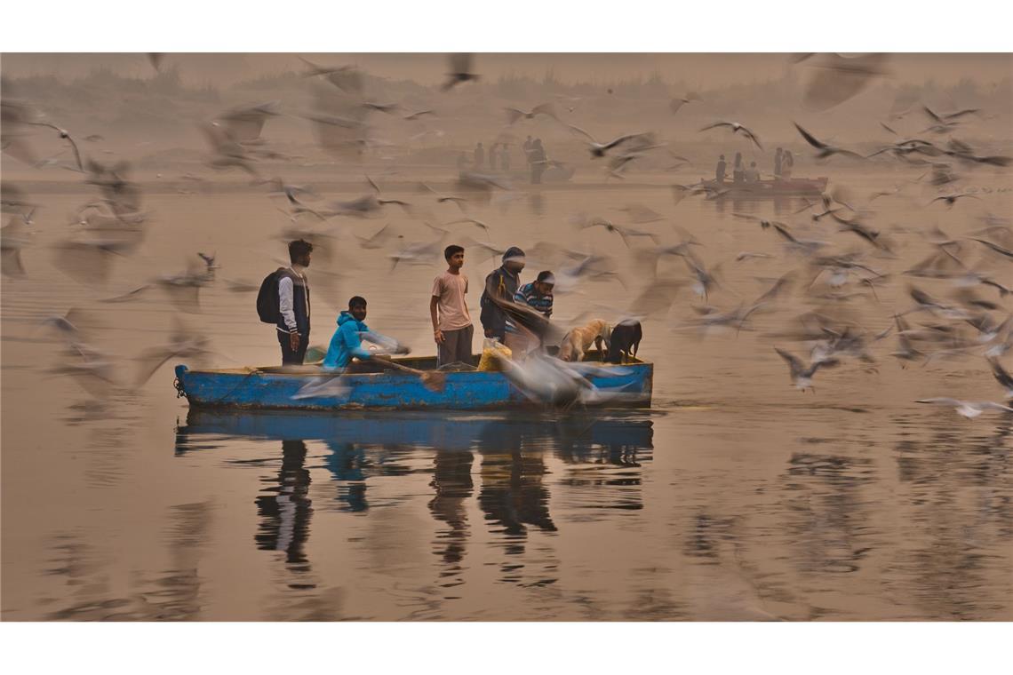 Yamuna-Ufer bei Delhi: Menschen locken Zugvögel mit Futter ans Boot.