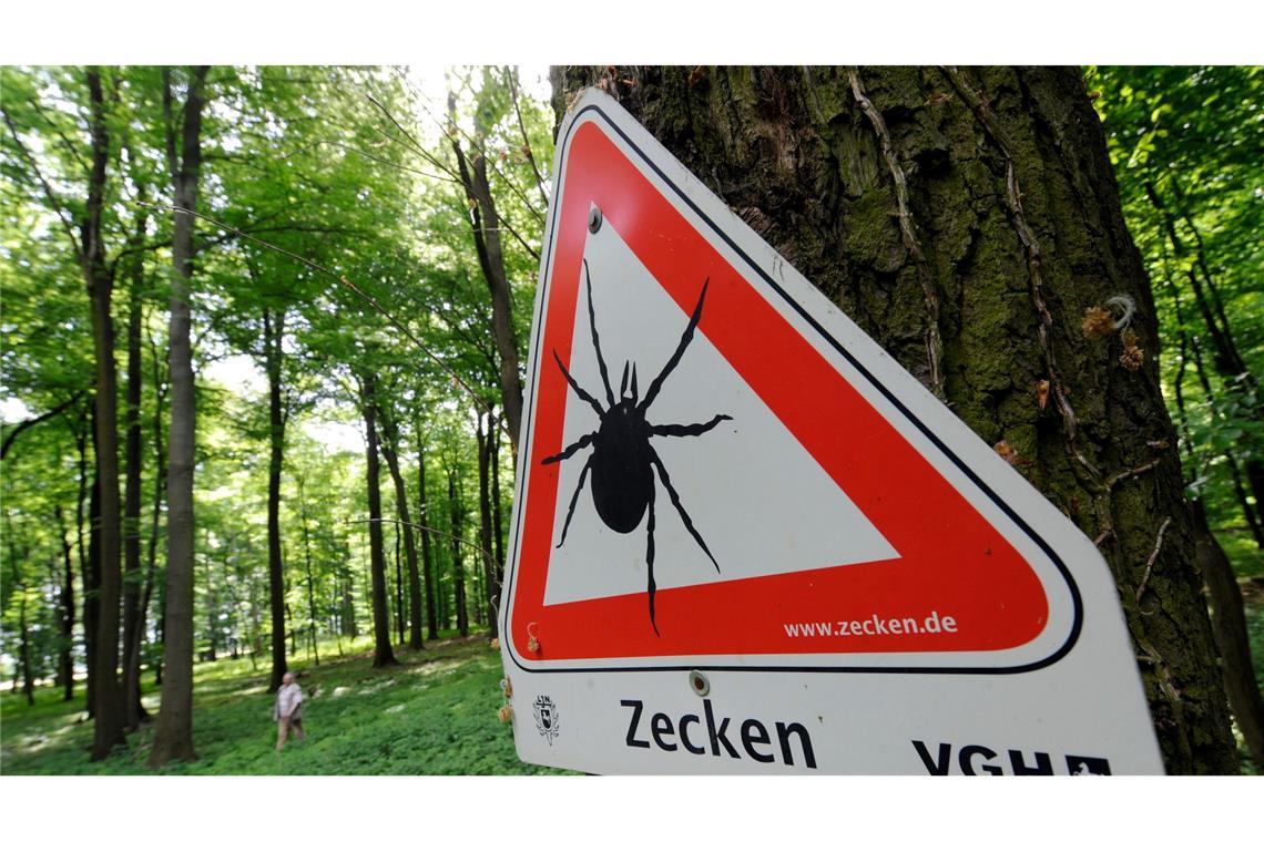 Zecken: "Bedeutendste Überträger von Infektionserregern" Zahlreiche Gebiete in Deutschland sind FSME-Risikogebiete. (Archivbild)