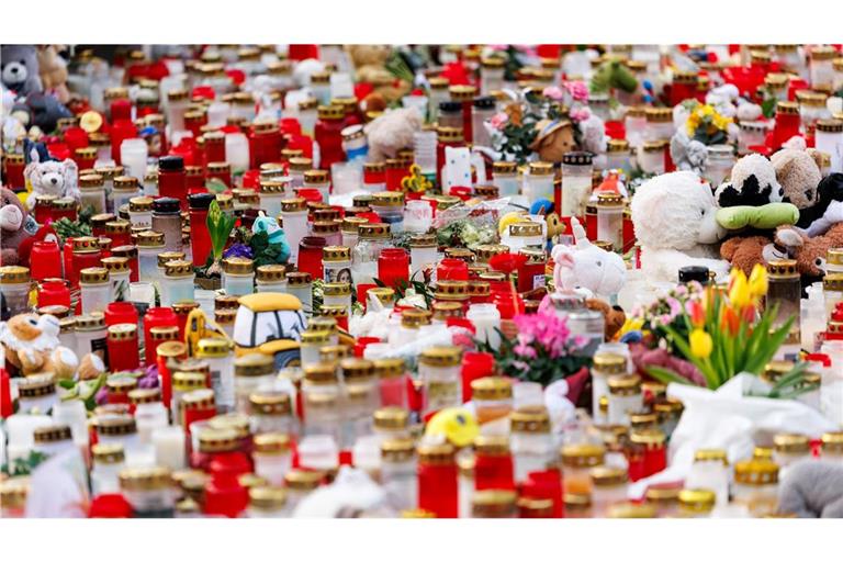 Zahlreiche Kerzen und Blumen sind im Park Schöntal in Gedenken an die Opfer des tödlichen Messerangriffs aufgestellt. (Archivbild)