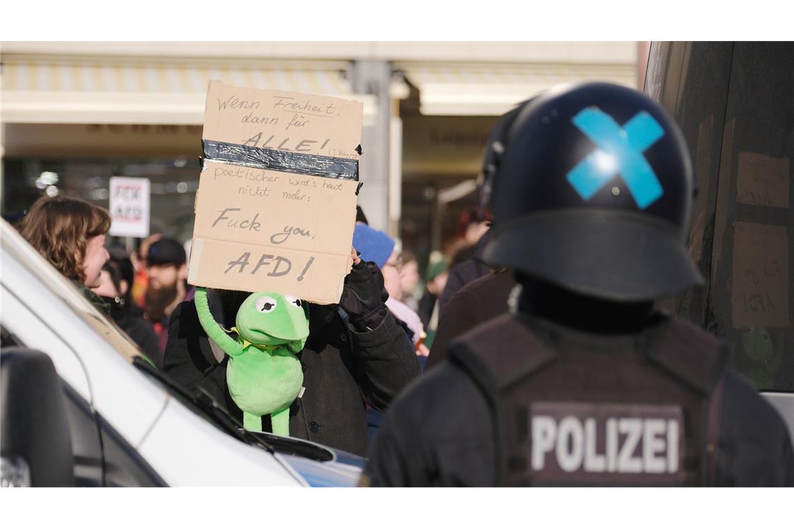Tausende Menschen demonstrieren in Freiburg gegen AfD Zahlreiche Menschen demonstrieren gegen die AfD. (Symbolbild)