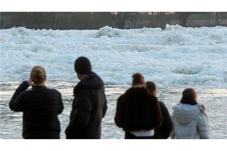Zahlreiche Menschen nutzten das Wochenendende, um an der Elbe ein seltenes Naturspektakel zu bewundern: Eisberge auf dem Fluss.