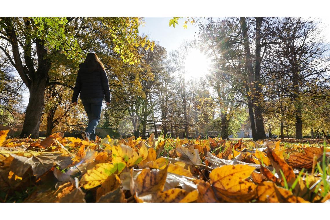 Zeitweise soll sich auch die Sonne zeigen (Symbolbild).
