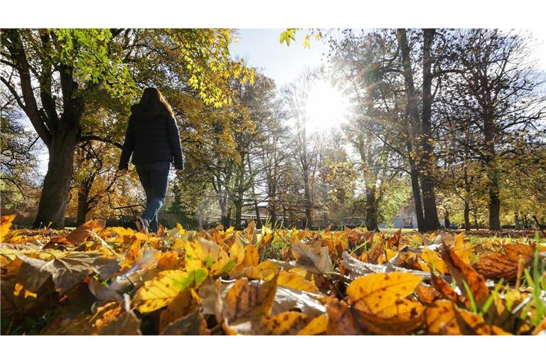 Zeitweise soll sich auch die Sonne zeigen (Symbolbild).