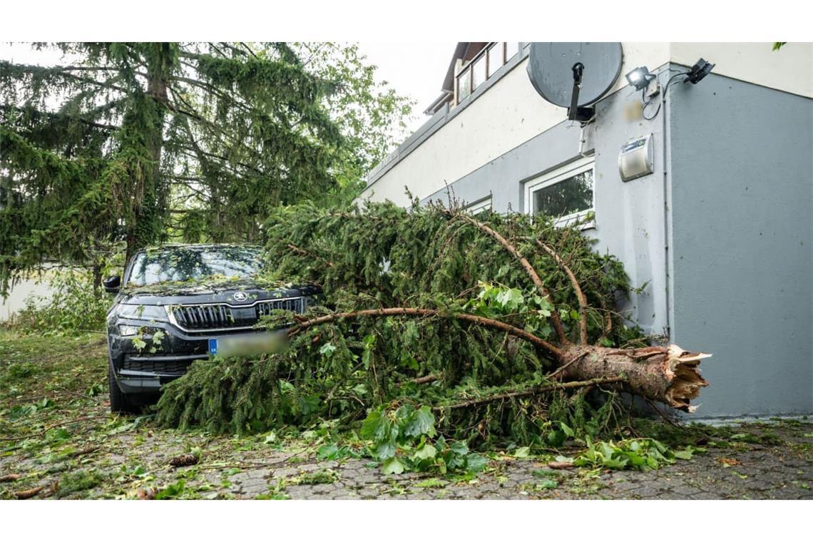 Zerstörerische Kraft: Nach dem Unwetter am vergangenen Freitag in der Bodensee-Region liegt in Singen im Kreis Konstanz ein Baum auf einem Auto.