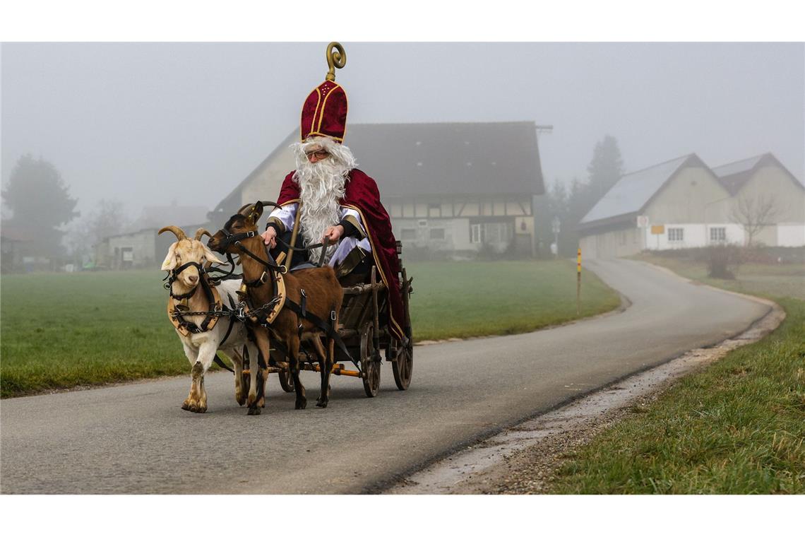 Ziegen ziehen Nikolausgespann