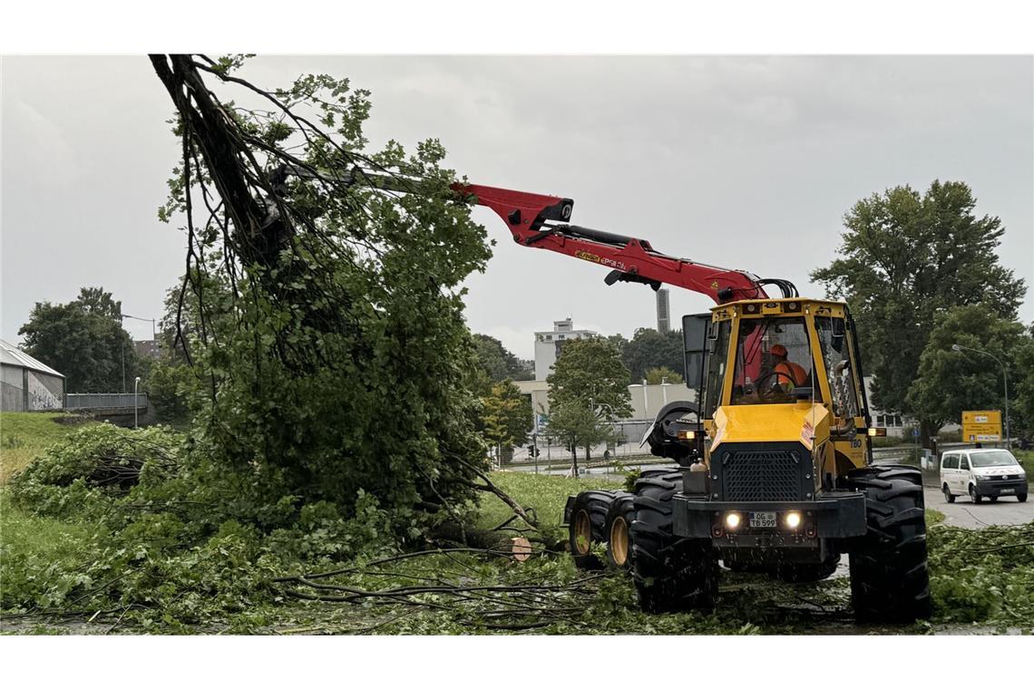 Auto zerstört, Bäume entwurzelt, Straßen gesperrt – Feuerwehr übt Kritik Zig Bäume fielen dem starken Wind zum Opfer.