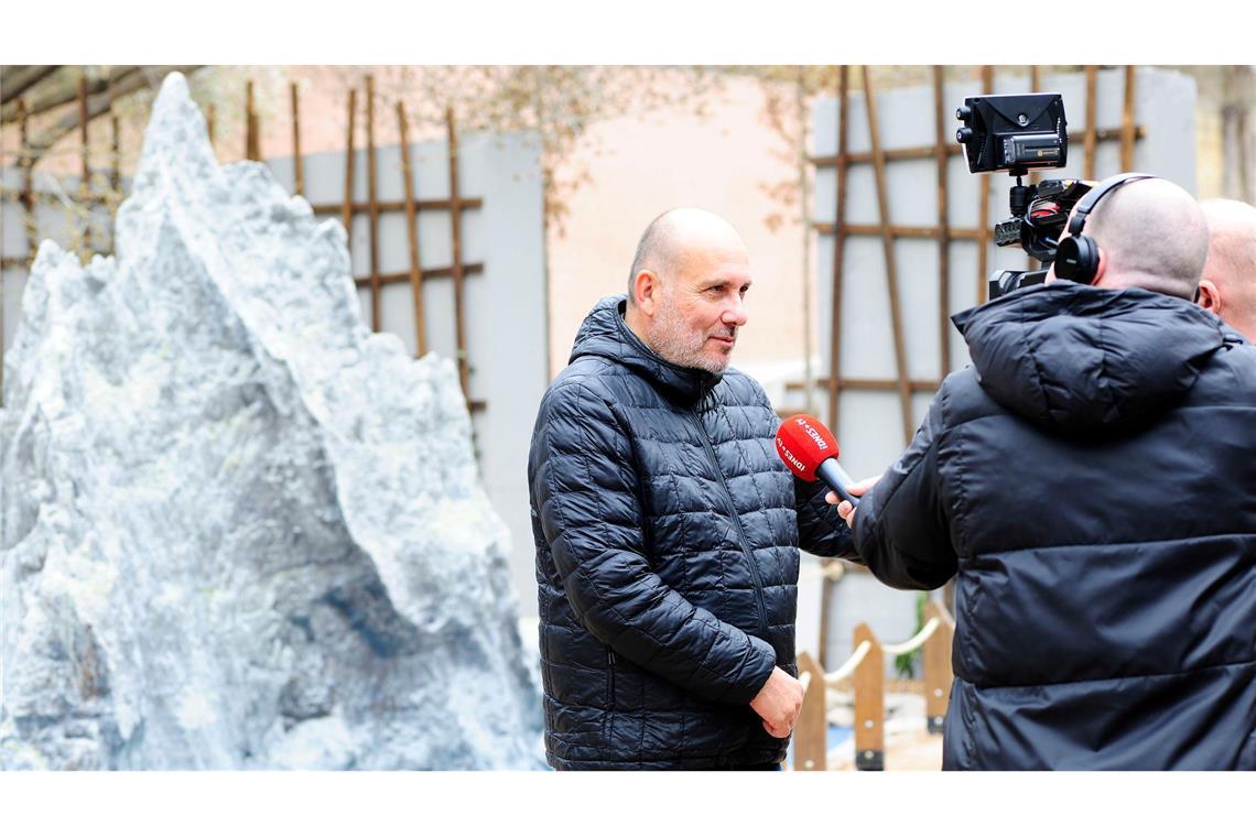 Extrem seltenes Insekt: Prager Zoo zeigt Baumhummer Zoodirektor Miroslav Bobek spricht mit Journalisten vor einem Modell der Ball's Pyramid, einer australischen Felsinsel, auf der die Baumhummer heimisch sind.