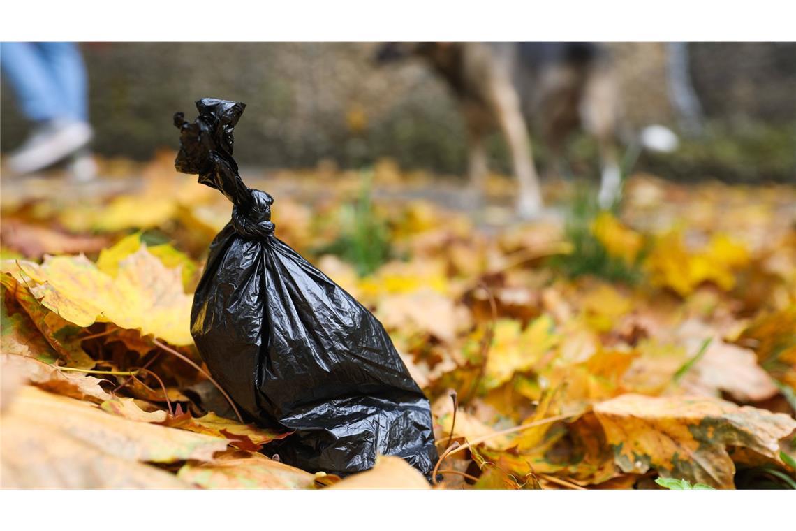 Zu dem Streit soll es gekommen sein, nachdem die zwei Hunde der Hundebesitzer aufeinander losgegangen waren. (Symbolbild)