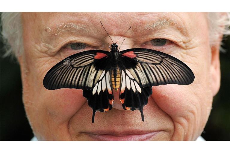 Zu seinem 100. Geburtstag erhielt David Attenborough einen persönlichen Brief von König Charles. (Archivfoto)