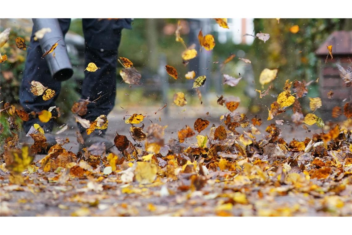Abstimmung: Zürich erlaubt Laubbläser nur noch im Herbst Zürich will den Einsatz nur noch von Oktober bis Dezember erlauben. (Symbolfoto)