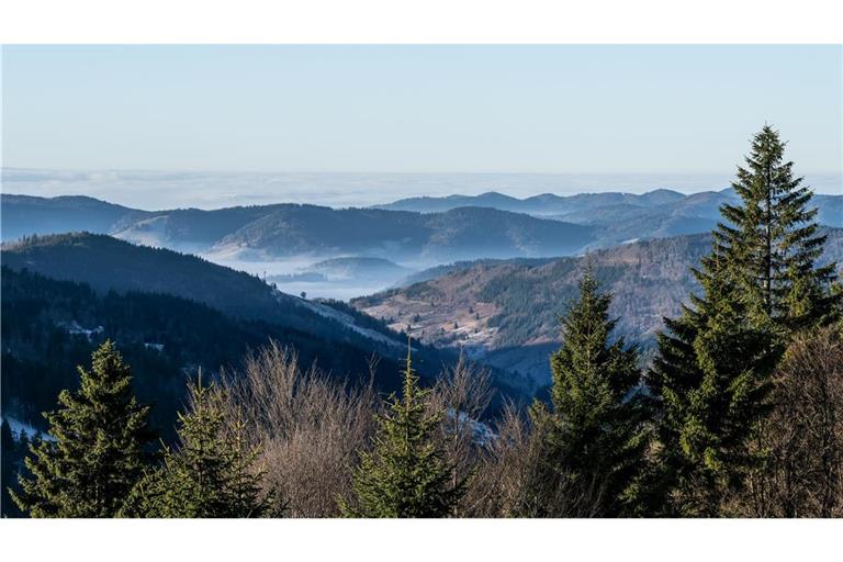 Zum Start in das letzte Wochenende des Jahres kommt etwas mildere Luft nach Deutschland