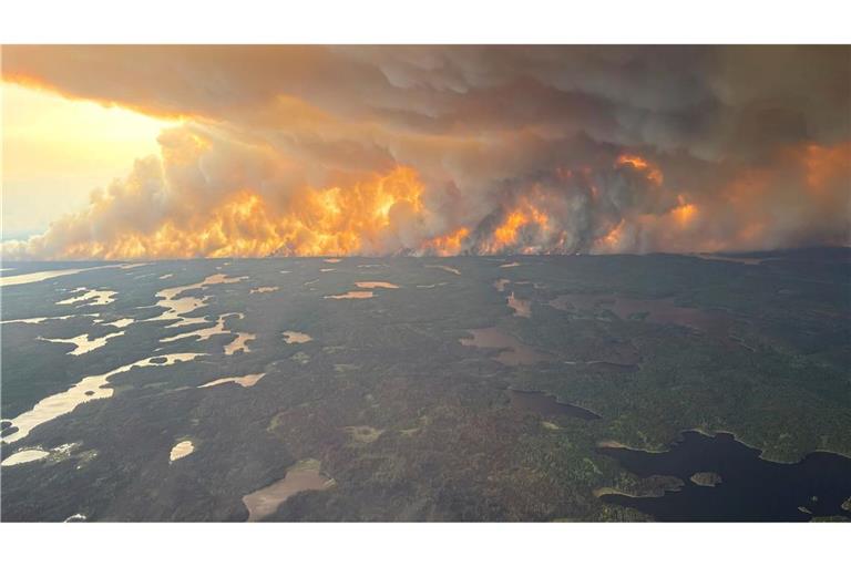 Zum Thema Waldbrände konnte sich die Gipfel-Teilnehmer auf eine gemeinsame Erklärung einigen. Wegen US-Präsident Donald Trump gibt es allerdings keine explizite Erwähnung des Klimawandels. (Archivbild)