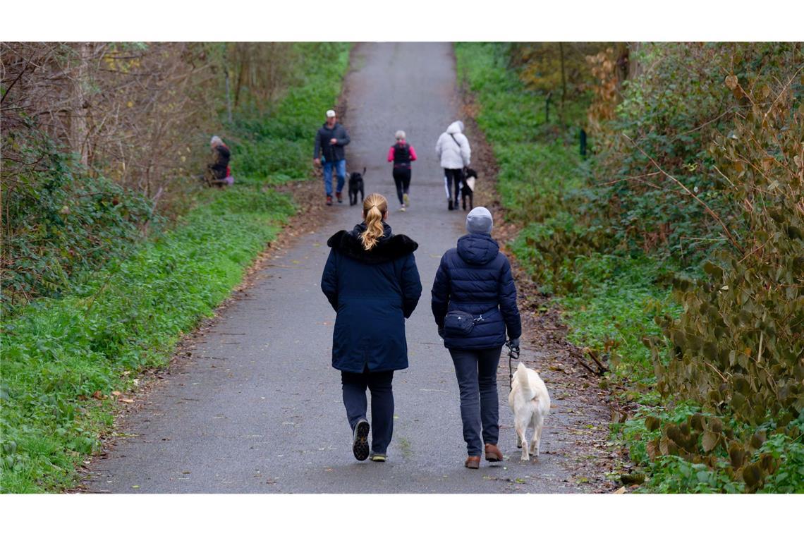 Zum Wochenstart wird es in vielen Regionen Deutschlands heiter bis wolkig.