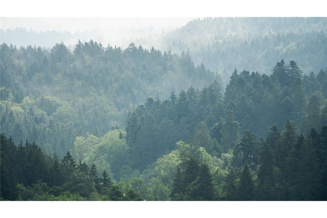 Tschüss Grau: Sonnigeres Wetter zur Wochenmitte Zur Wochenmitte hat das verregnete Wetter voraussichtlich ein Ende.