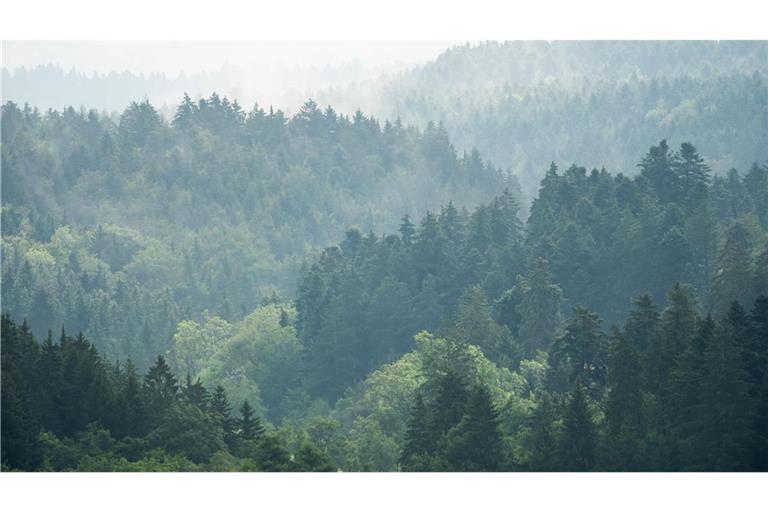 Zur Wochenmitte hat das verregnete Wetter voraussichtlich ein Ende.