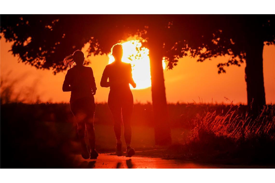 Sturm und Sonne: Wetterumschwung mit sommerlichen Aussichten Zur Wochenmitte soll es wieder sommerlich werden. Viel Sonne und Temperaturen bis 29 Grad. Allerdings nicht in allen Teilen Deutschlands. (Symbolbild)