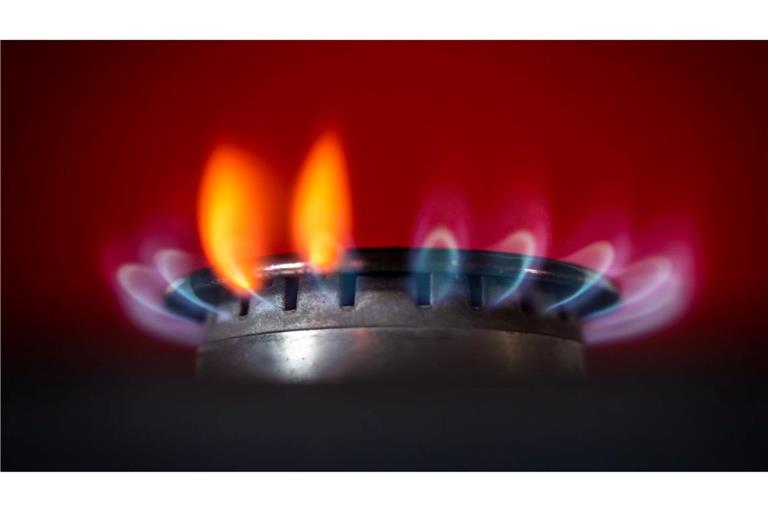 Zuvor gemachten Angaben der EU-Kommission zufolge basieren etwa zwei Drittel der russischen LNG- und Pipeline-Gasimporte auf bestehenden langfristigen Verträgen. Der Rest wird auf kurzfristiger Spot-Basis geliefert.