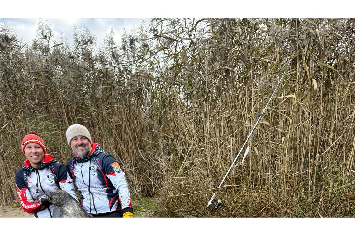 Zwei Angler in Polen haben einen fast drei Meter langen Wels gefangen. (Foto Handout)