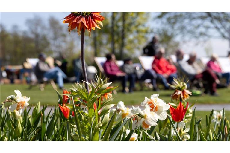 Zwischen Sonne und Schauern zeigt sich der Frühling wechselhaft. (Archivbild)